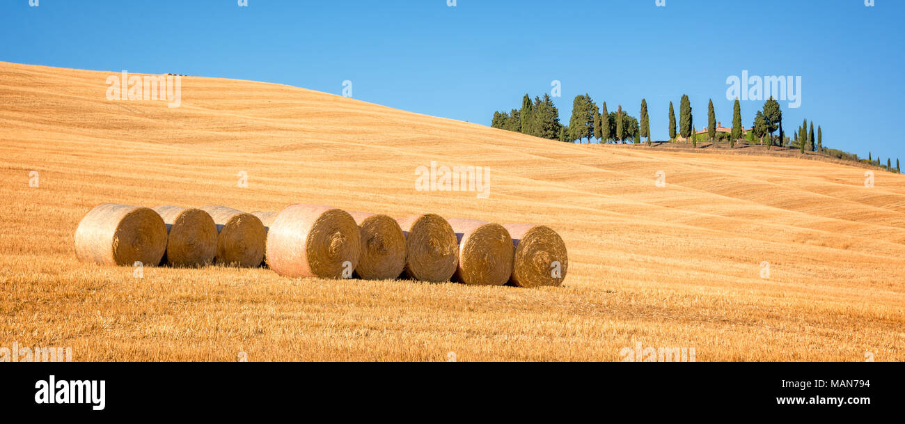 Beau panorama typique paysage de la Val d'Orcia en Toscane avec des bottes de foin dans un champ en été, Val d'Orcia, Toscane, Italie Banque D'Images