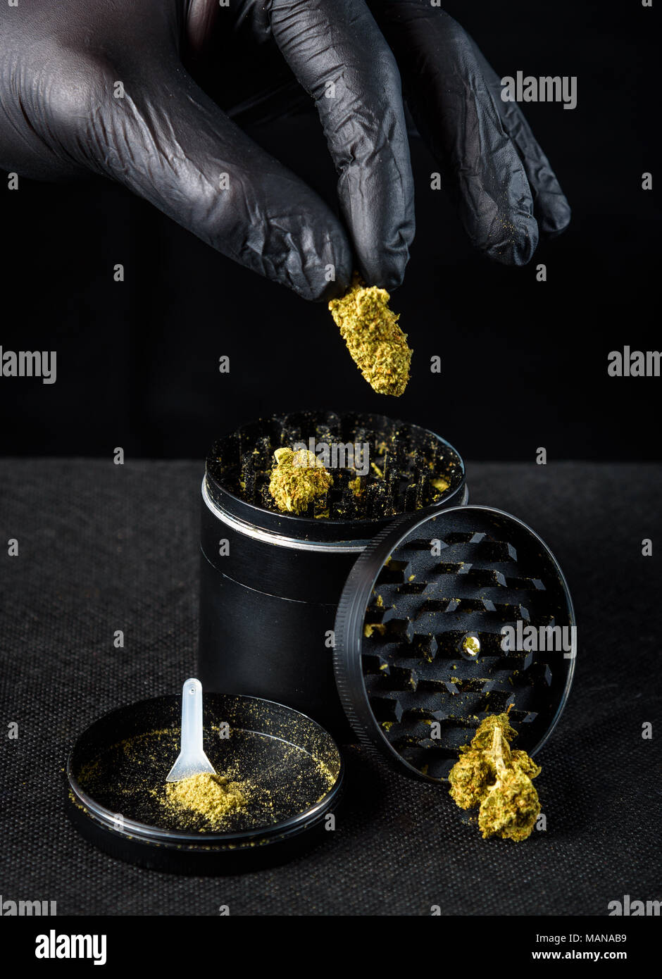 La marijuana médicinale grinder avec keef et racloir. une main avec un gant en latex noir tenant une nouvelle nug. Fond noir Banque D'Images