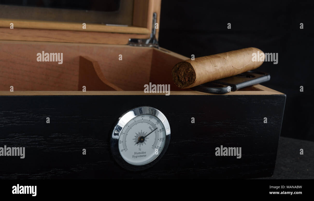 Une riche odeur de cigare, sur un humidor noire à côté d'un coupe-cigare tout droit. Fond noir Banque D'Images