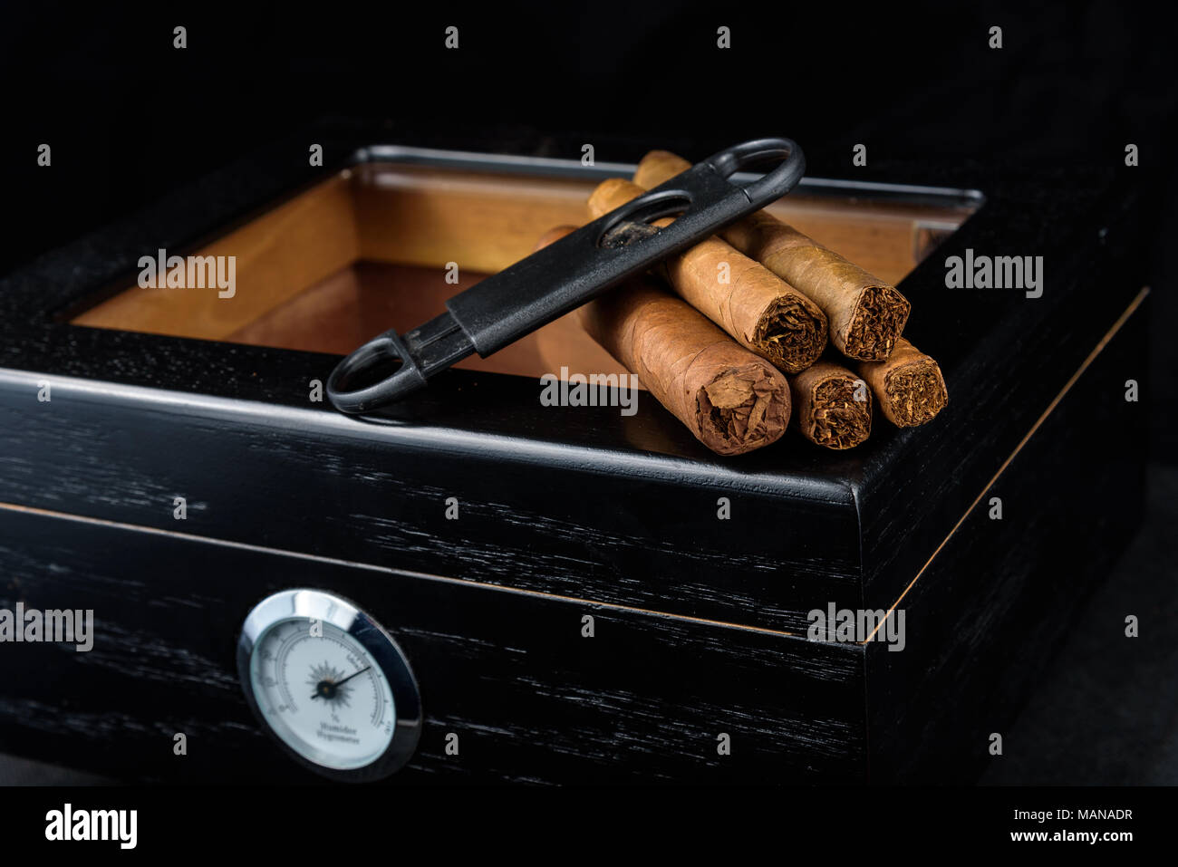 Une coupe droite et un tas de produits frais au-dessus d'une cave à cigares noire. Fond noir Banque D'Images