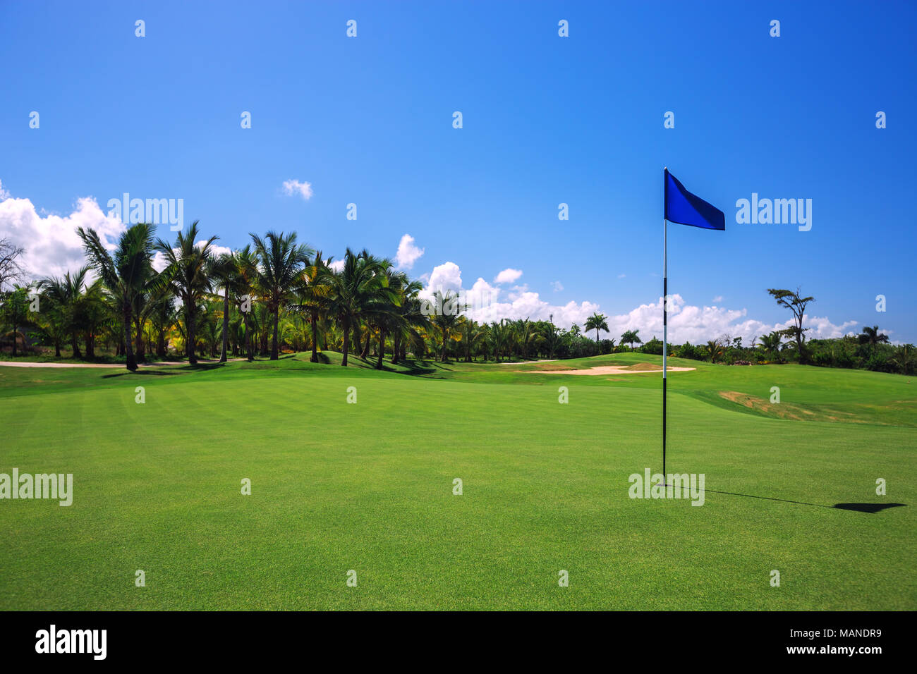 Le parcours de golf. Beau paysage d'un court de golf avec des palmiers à Punta Cana, République Dominicaine Banque D'Images