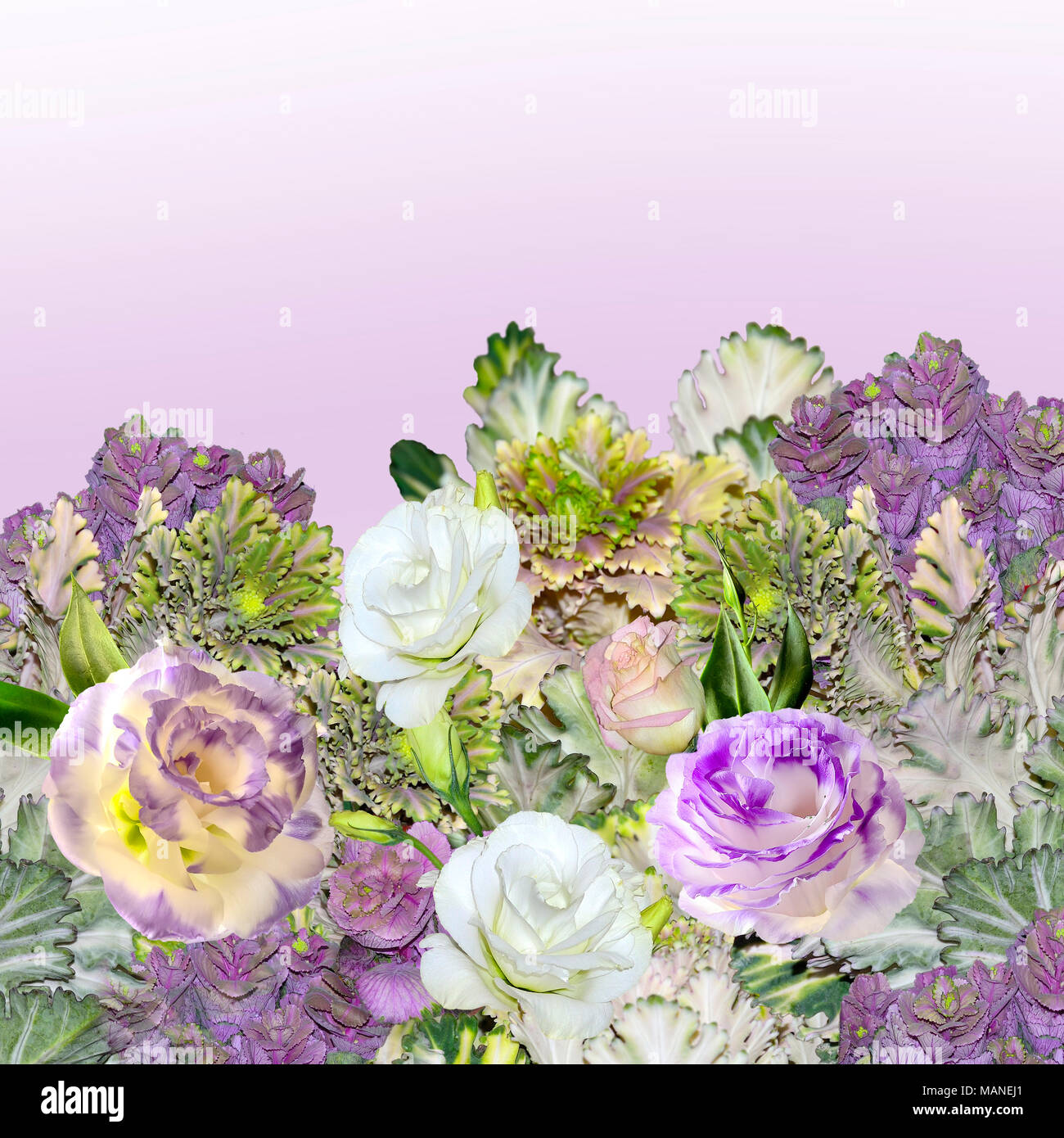 Frontière Avec Bouquet De Fleurs Mauve Avec Lisianthus