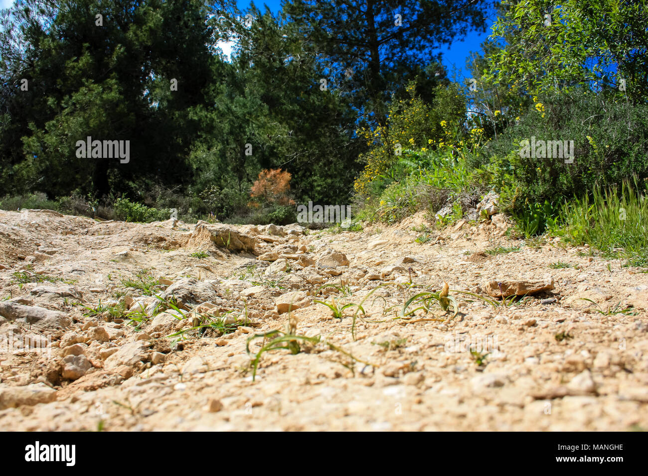 Nature et paysage autour de Jérusalem en Israël du paysage et de la nature à la Vallée Blanche près de Jérusalem, une partie de la randonnée nationale israélienne Banque D'Images