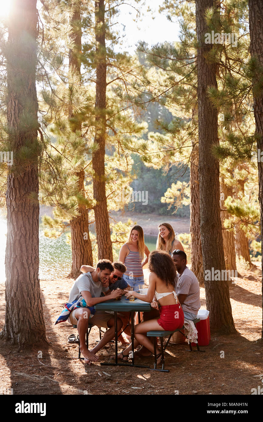 Groupe d'amis à une table par un lac, vertical Banque D'Images