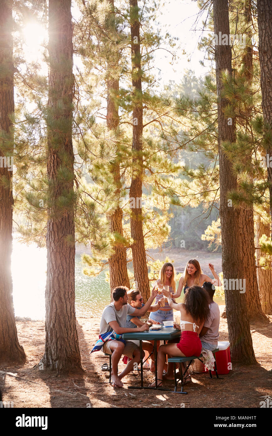 Groupe d'amis à une table par un lac, vertical Banque D'Images