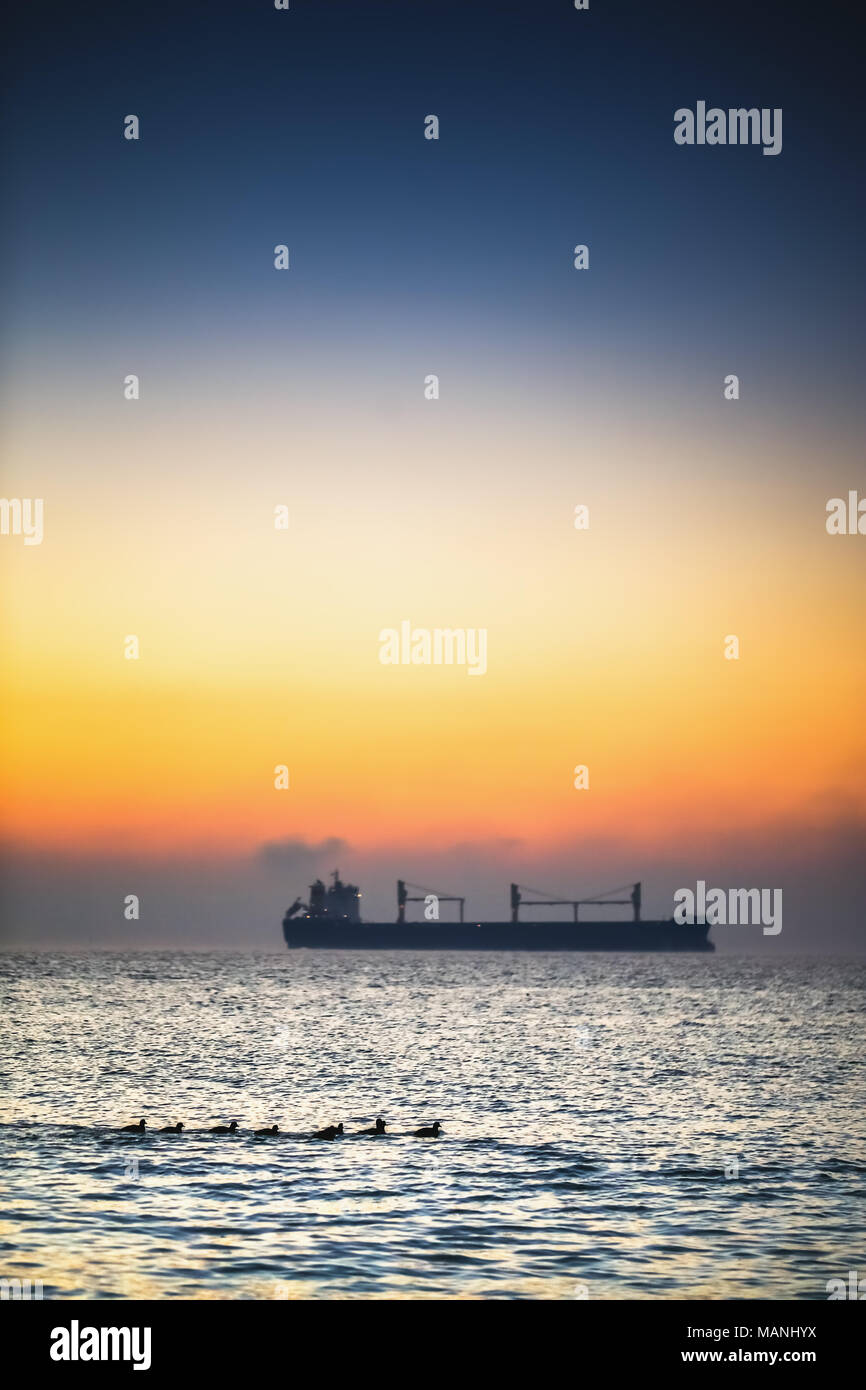 Beau lever de soleil sur la mer et peu de canards Banque D'Images