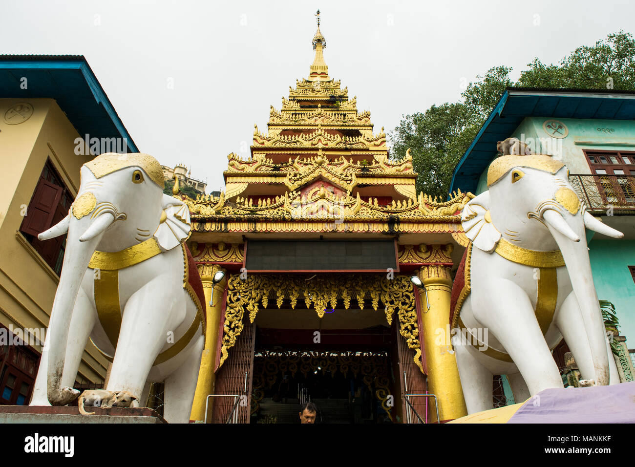 Une paire de statues d'éléphant jaune et or à l'entrée du mont Popa, temple bouddhiste saint volcan montagne au Myanmar, Birmanie, Asie du Sud Est Banque D'Images