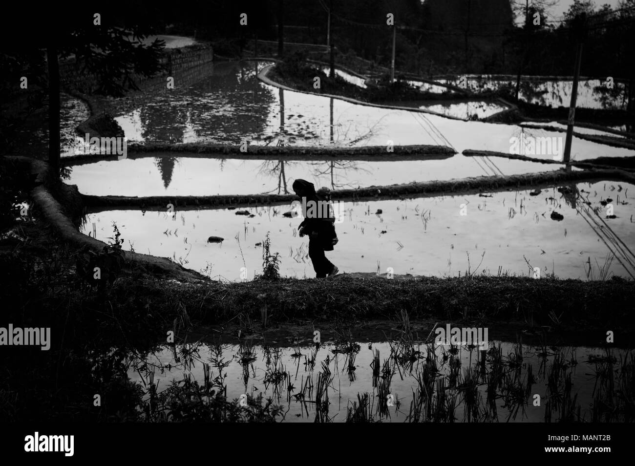Femme marche avec son fils (Yuanyang, Yunnan, Chine) Banque D'Images
