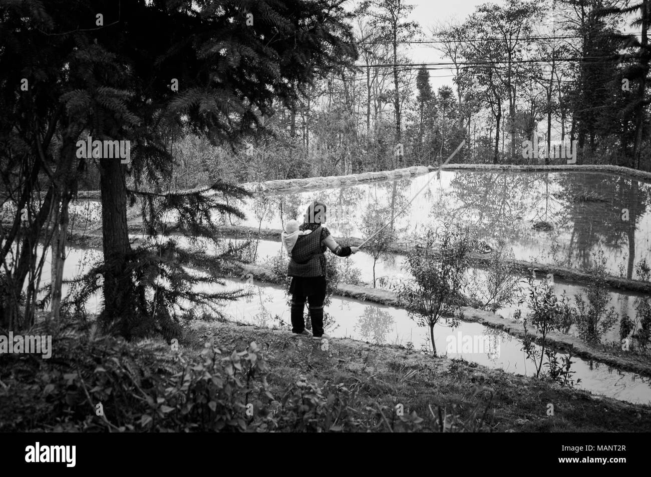 Pêche à la femme avec son fils (Yuanyang, Yunnan, Chine) Banque D'Images