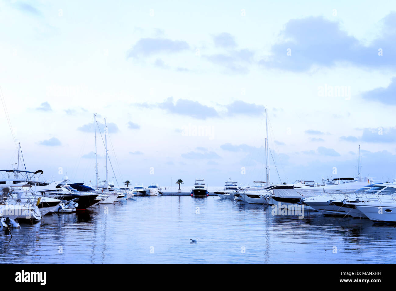 Port de plaisance dans la soirée avec de luxueux voiliers et bateaux à moteur à l'ancre. Scène Marina dans le coucher du soleil. Banque D'Images
