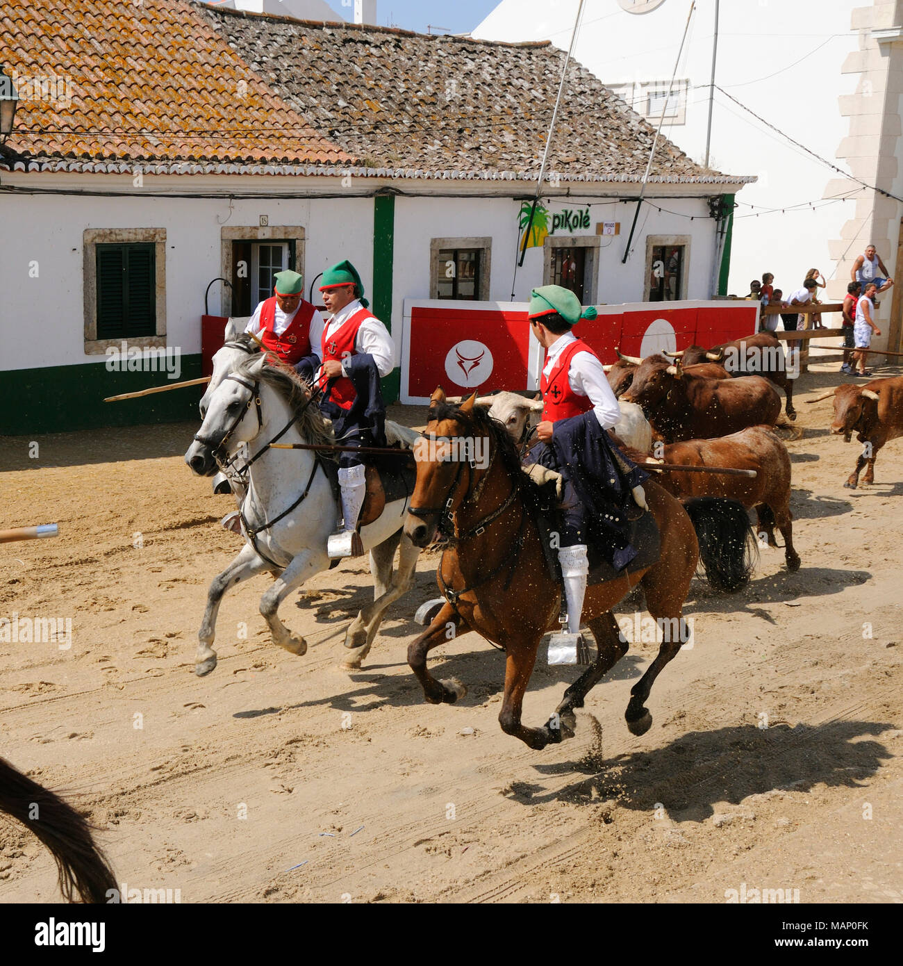 Exécution de taureaux sauvages traditionnelles par les 'campinos', au cours de la Barrete Verde (bouchon vert) festivités. Alcochete, Portugal Banque D'Images