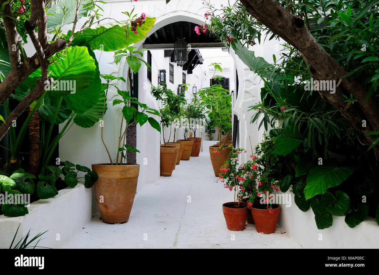 Et blanc cool cour dans Tanger, Maroc Banque D'Images