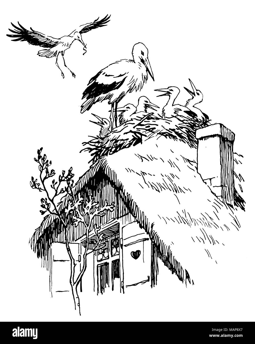 Nid de cigogne sur un toit, Banque D'Images