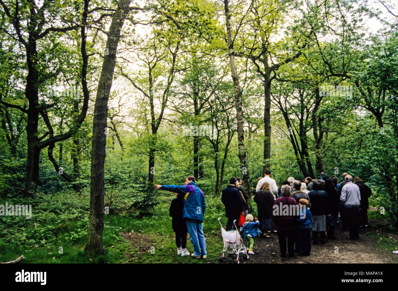Nature Walk, Oxleys (bois) bois de l'âge de glace ancienne, Yvoir, Greenwich, South East London, England, UK,GO. Banque D'Images
