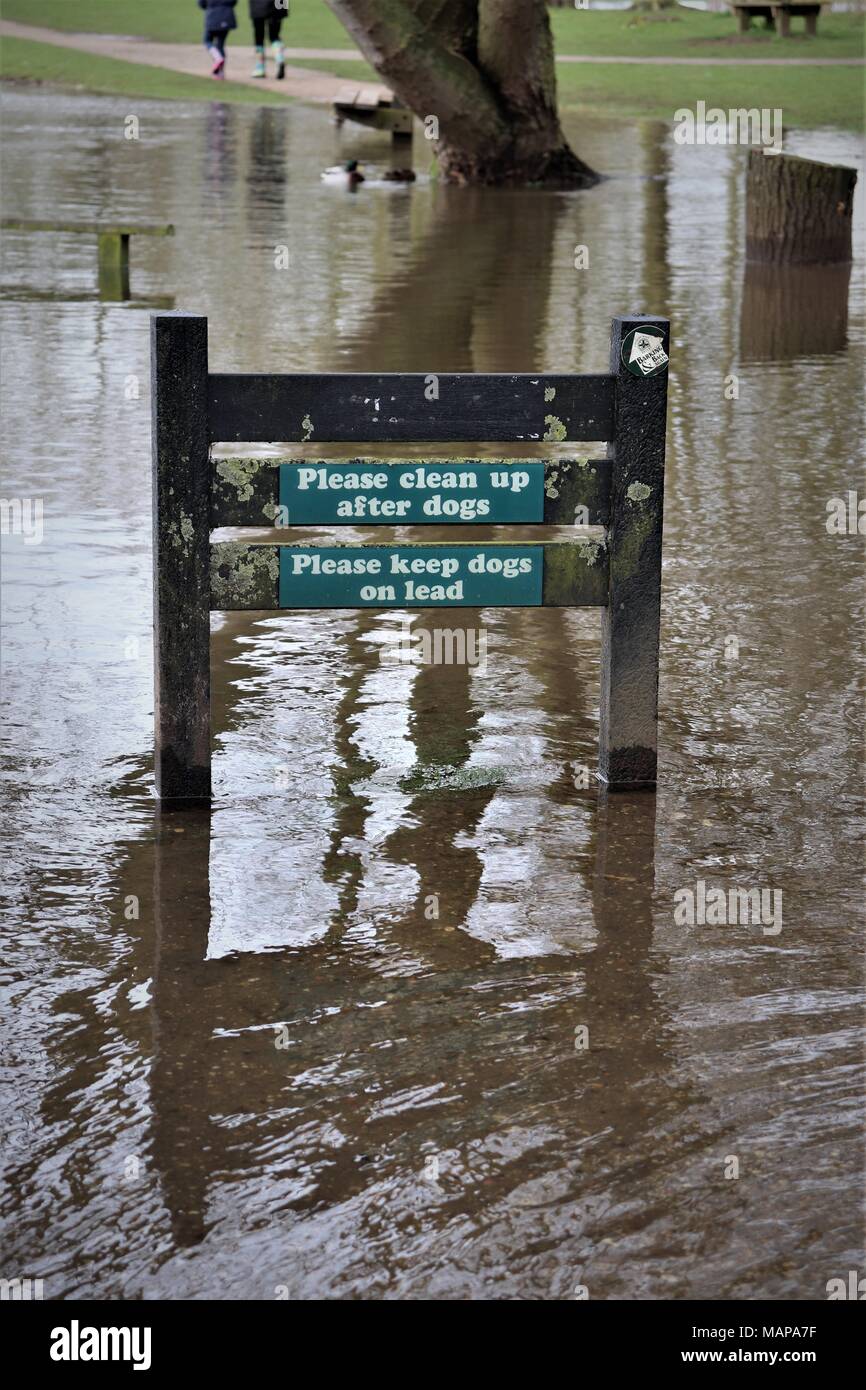 Inondations à Needham Lake, Suffolk UK Banque D'Images