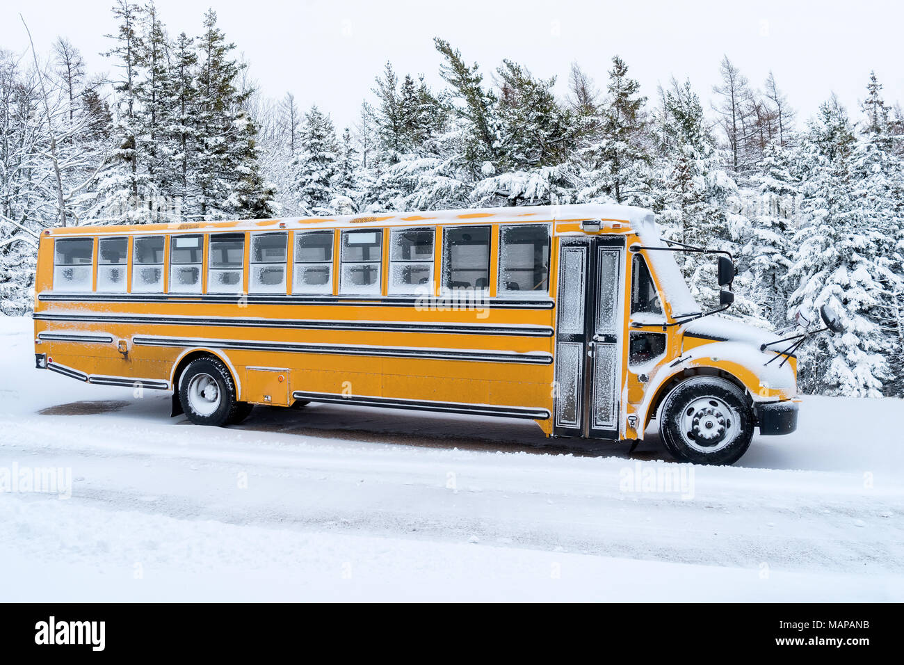 School bus saupoudrée de lumière couvrant de neige. Banque D'Images