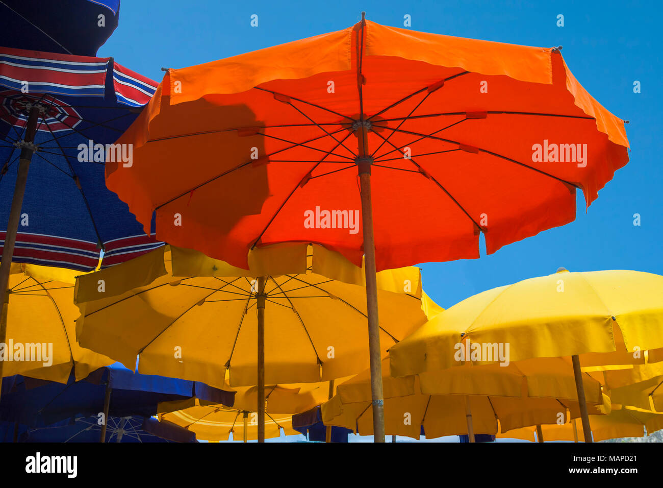Les parasols colorés sur le harborside sur la Piazza Marconi, Vernazza, ligurie, italie Banque D'Images