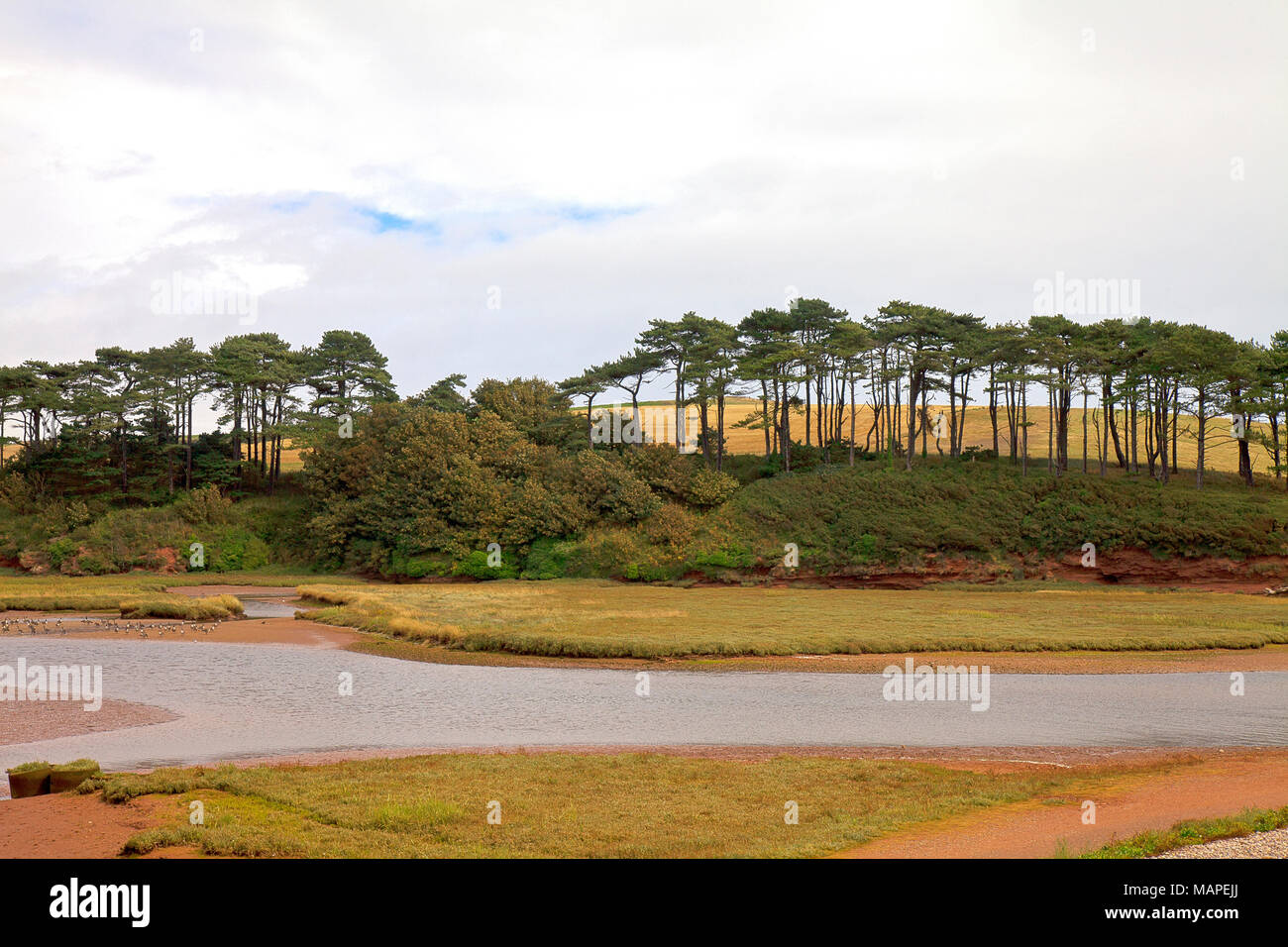 Un espace naturel, l'embouchure de la loutre de rivière forme un estuaire pittoresque comme il roule à travers l'est du Devon ville côtière de Budleigh Salterton. Banque D'Images