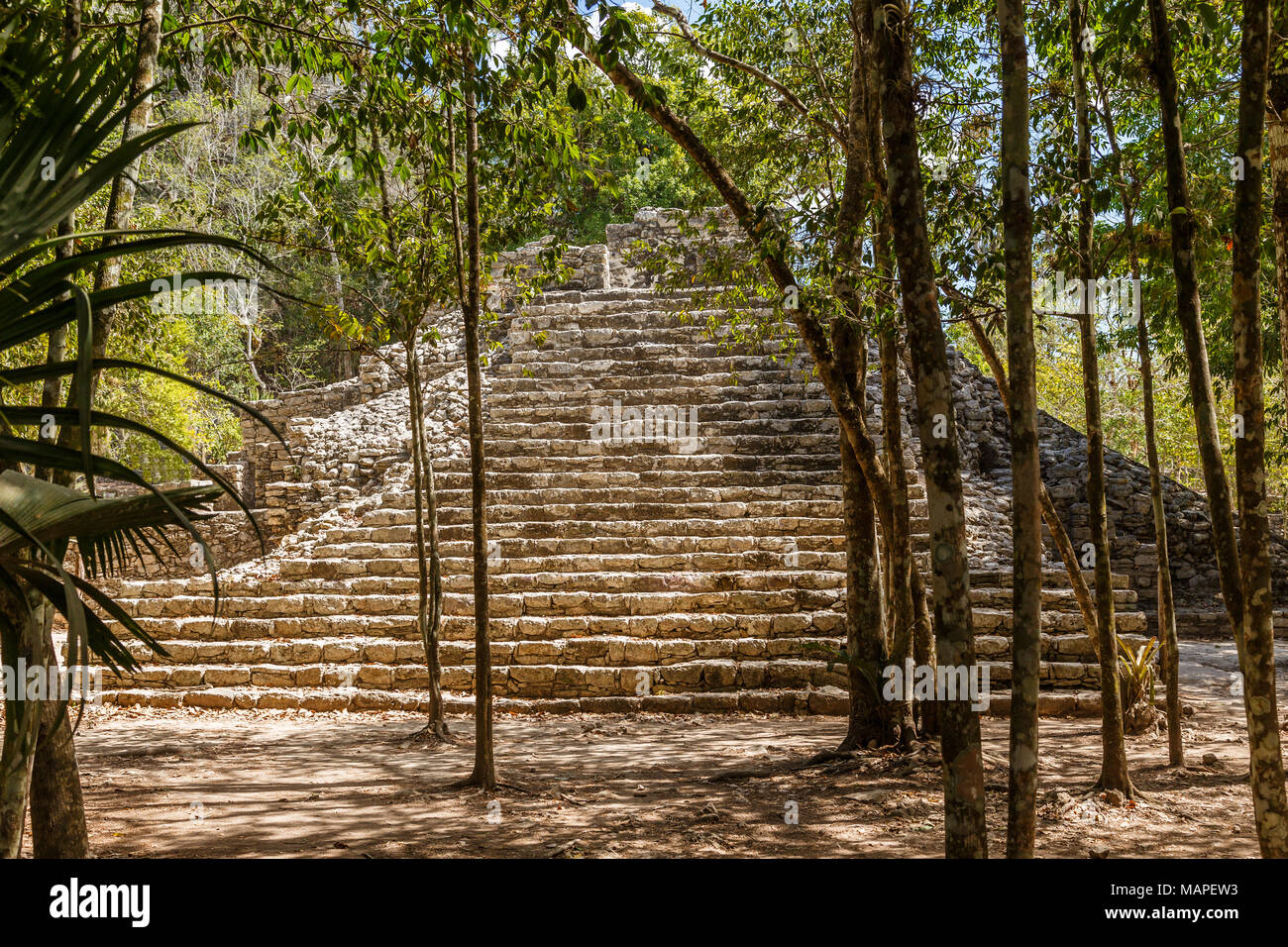 Ancienne petite pyramide d'ancienne civilisation maya ville cachée dans la forêt, site archéologique de Coba, Coba, Yucatan, Mexique Banque D'Images