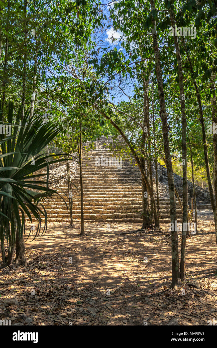 Ancienne petite pyramide d'ancienne civilisation maya ville cachée dans la forêt, site archéologique de Coba, Coba, Yucatan, Mexique Banque D'Images