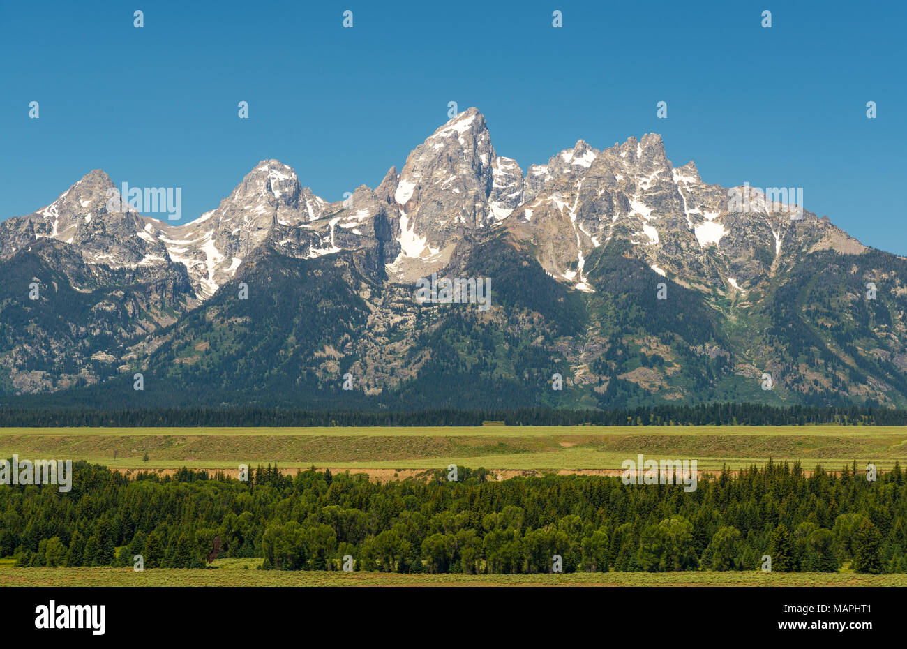 Le Grand Teton Range à une forêt de pins au premier plan en début de matinée à l'intérieur du parc national de Grand Teton près de Jackson Hole, Wyoming, USA. Banque D'Images