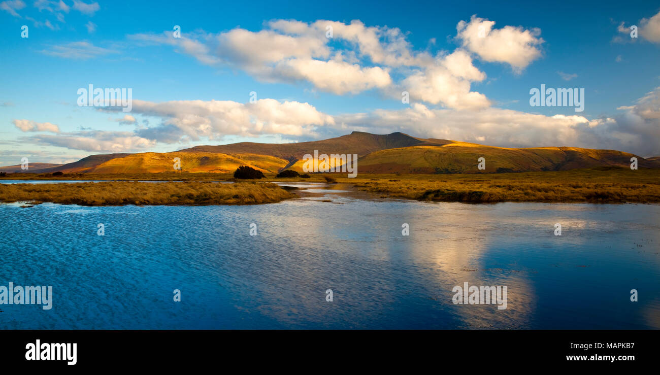 Pen Y Fan & du maïs commun Illtyd les montagnes de Mynydd Powys Pays de Galles Brecon Beacons Banque D'Images