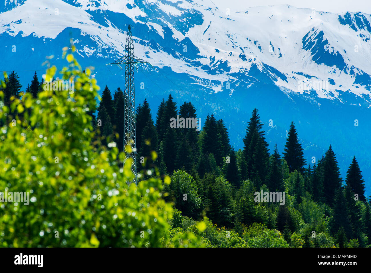 Tour de transmission dans la forêt sur la pente à l'encontre de montagnes couvertes de neige. Scène forestiers de la région de Svaneti, Georgia. Banque D'Images