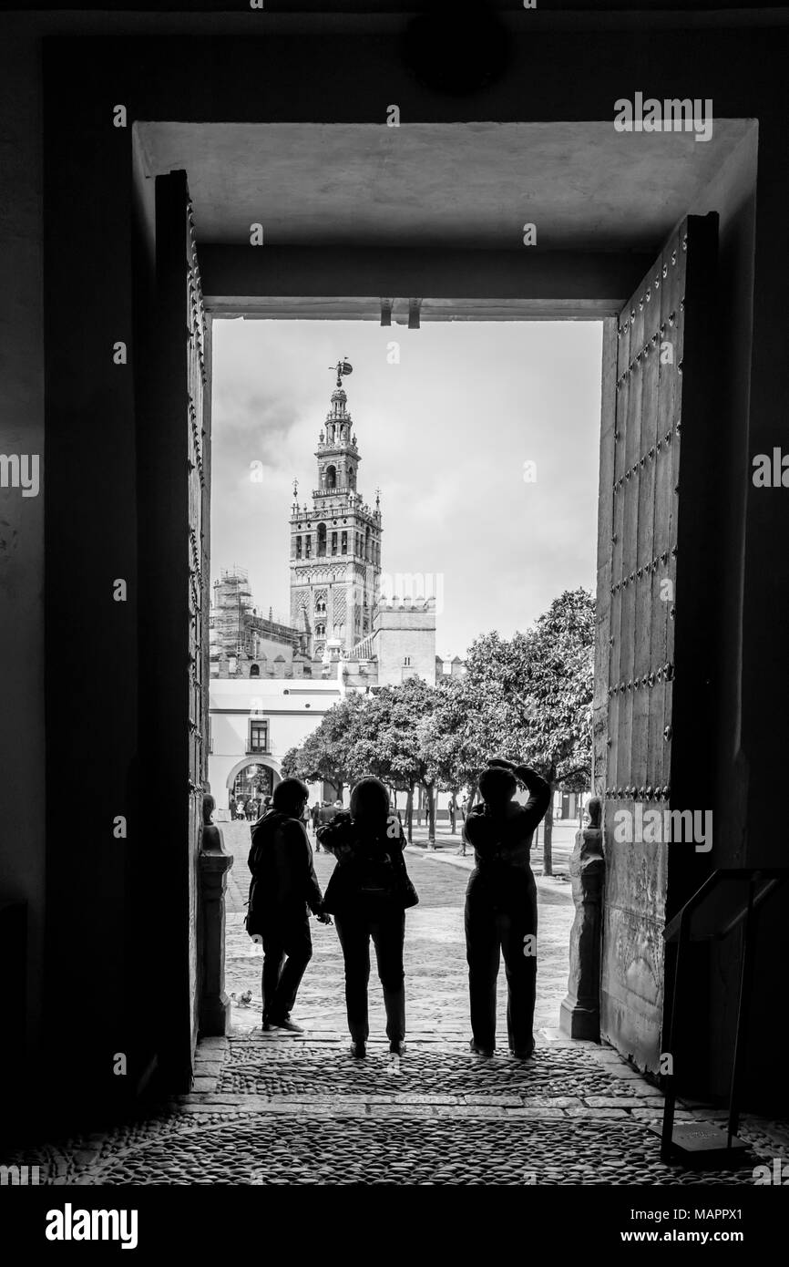 Vue de le Patio de Banderas plaza et la Cathédrale de Séville la Giralda dans la ville espagnole de Séville 2018 monohrome, Andalousie, Espagne Banque D'Images