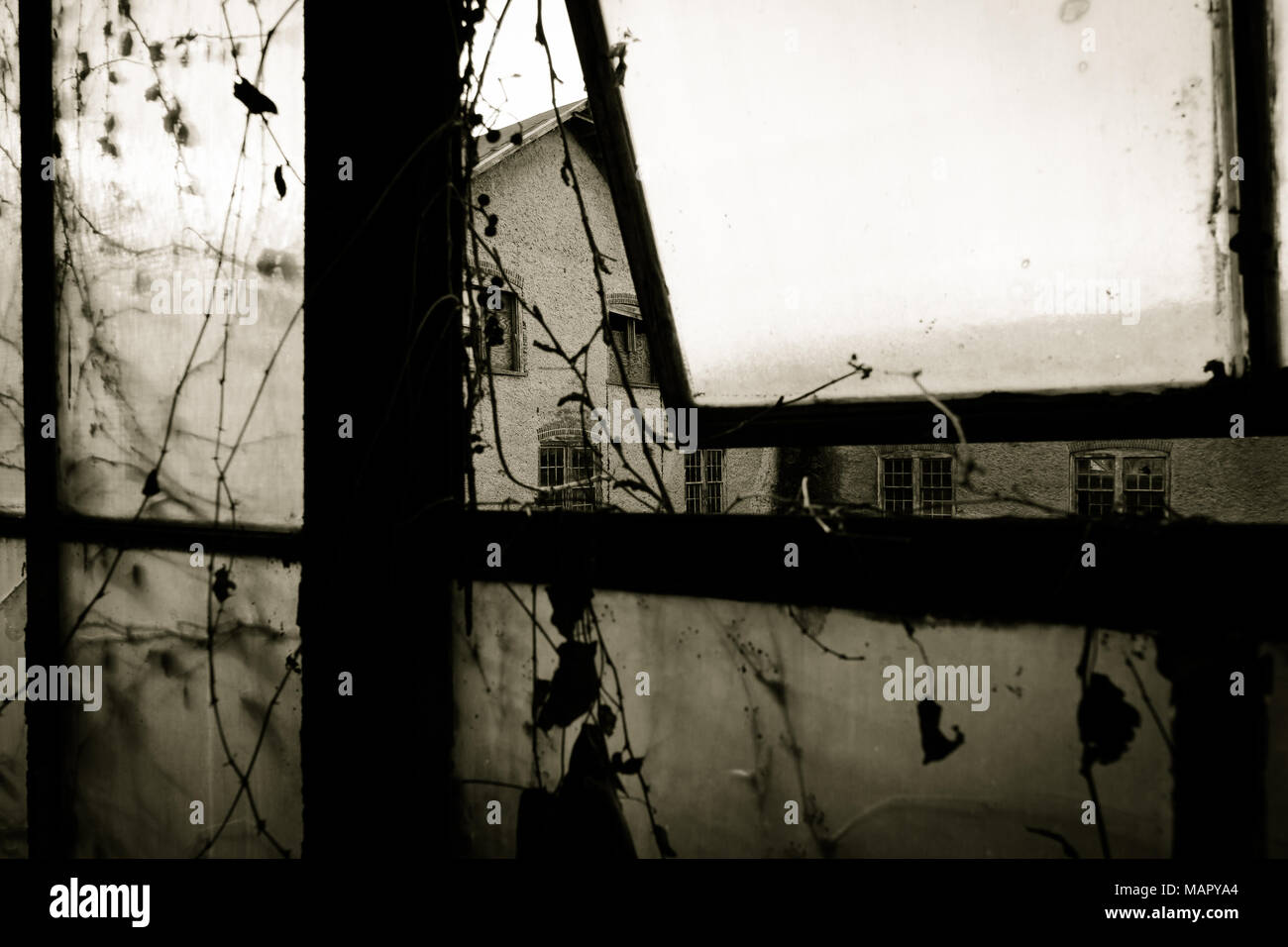 En regardant par la fenêtre d'une usine abandonnée Banque D'Images