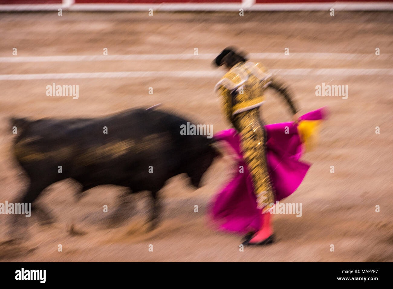 Plaza de Toros Monumental de Aguascalientes. Aussi connu en anglais comme Monument de la Bulls d'Aguascalientes. La tauromachie est un grand passé du temps ici. Banque D'Images