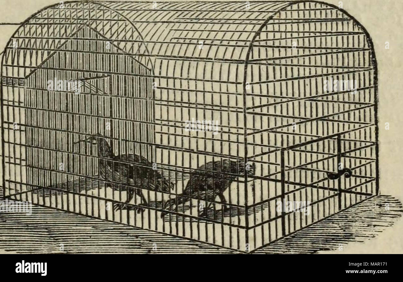 'Journal de la Royal Horticultural Society de Londres' (1866) Banque D'Images