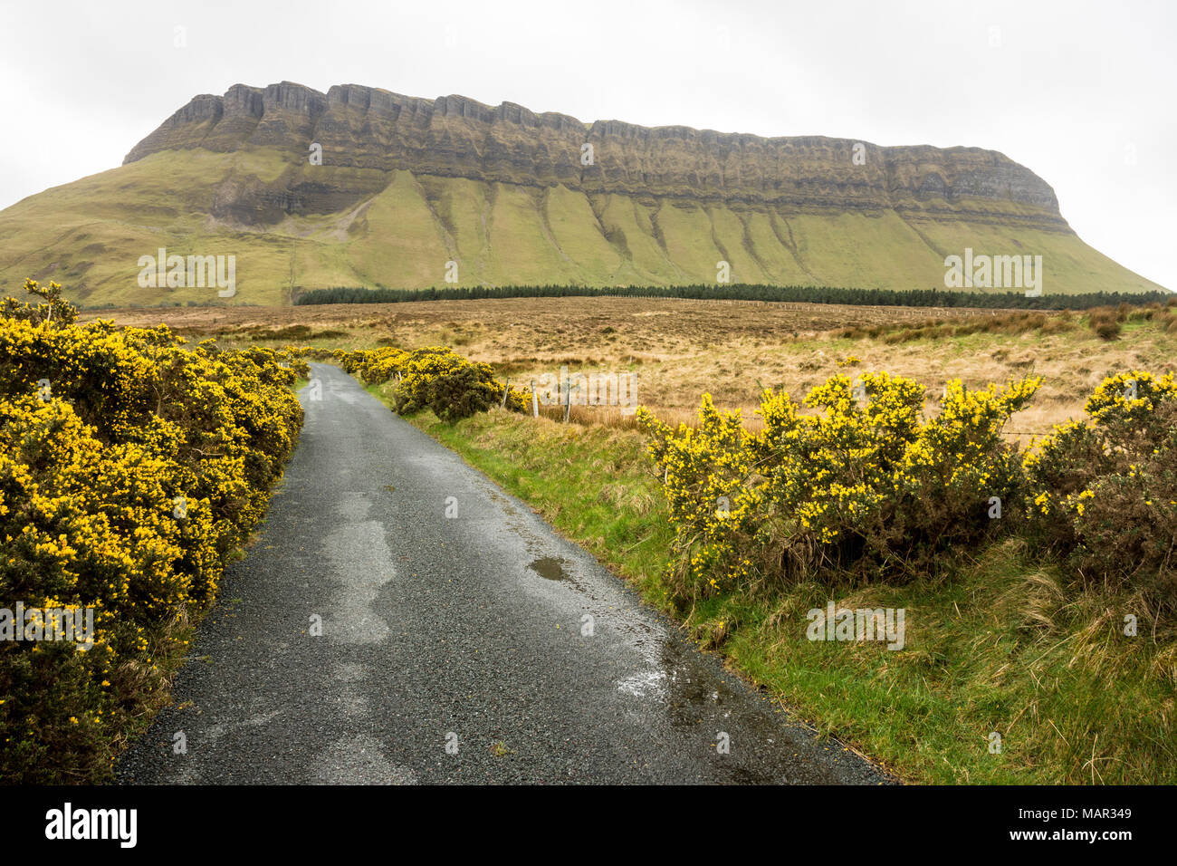 Benbulben, Dartry Mnts, Comté de Sligo, Connacht, République d'Irlande, Europe Banque D'Images