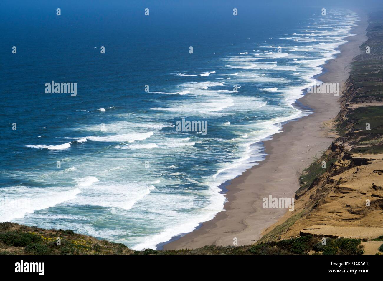 Point Reyes National Seashore,, Californie, États-Unis d'Amérique, Amérique du Nord Banque D'Images