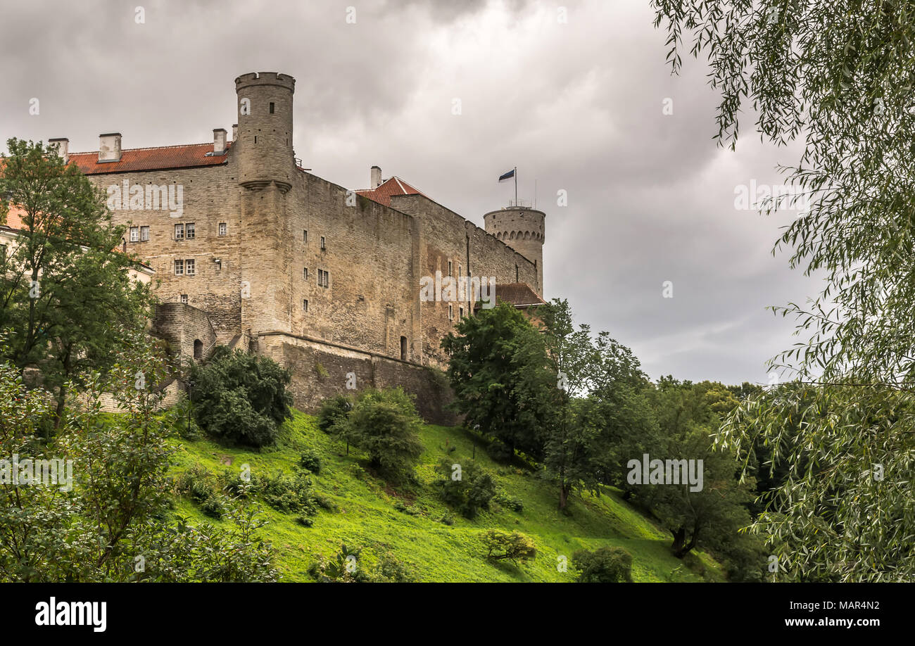 Vue sur le mur de château de tours sur la colline de Toompea, dans la vieille ville de Tallin, Estonie Banque D'Images