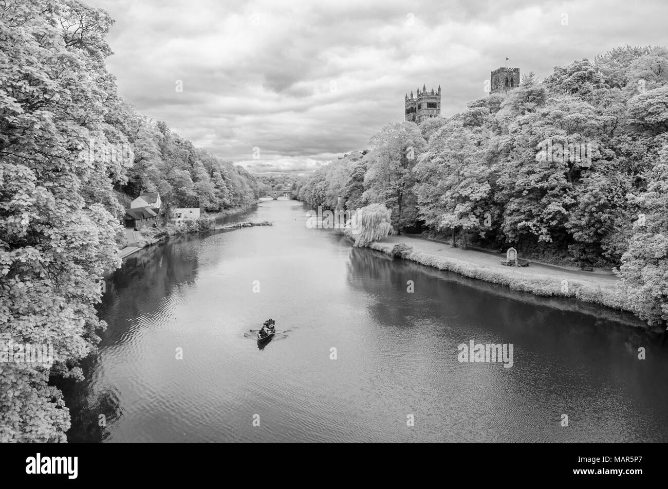 Cathédrale de Durham et de la rivière pont prebends Banque D'Images