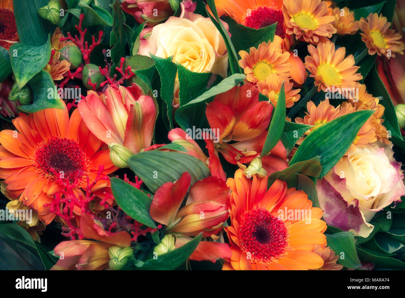Bouquet de fleurs orange, aux couleurs rétro Banque D'Images