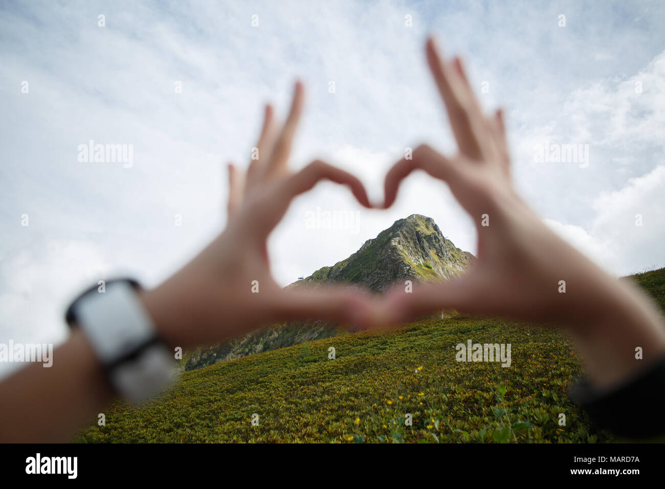Photo de coeur de paumes contre des montagnes en arrière-plan Banque D'Images