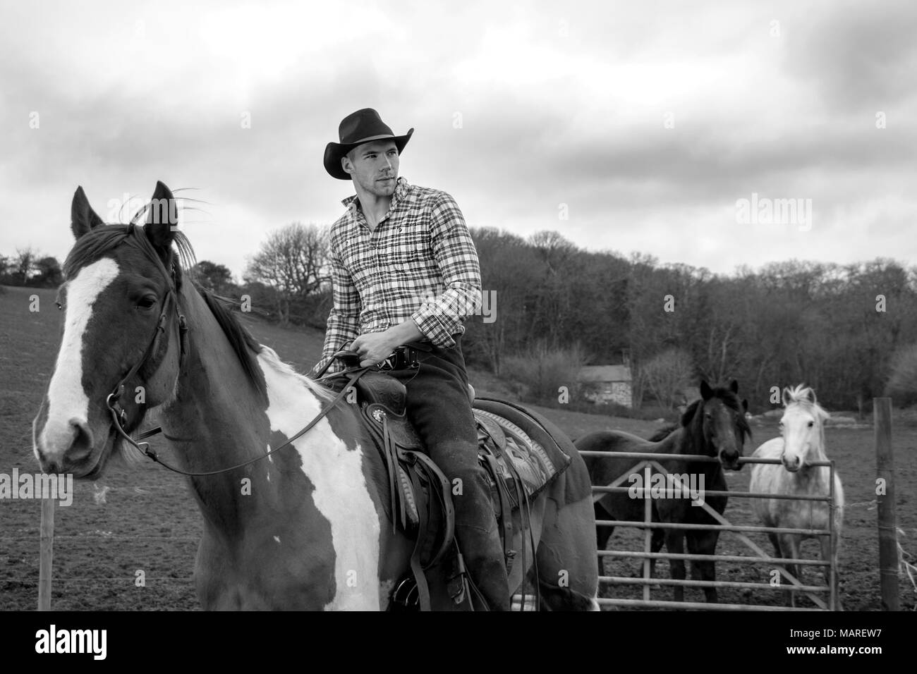 Assis en selle cow-boy à cheval avec les chevaux derrière gated barbelés avec maison en pierre et terrain en arrière-plan. Banque D'Images