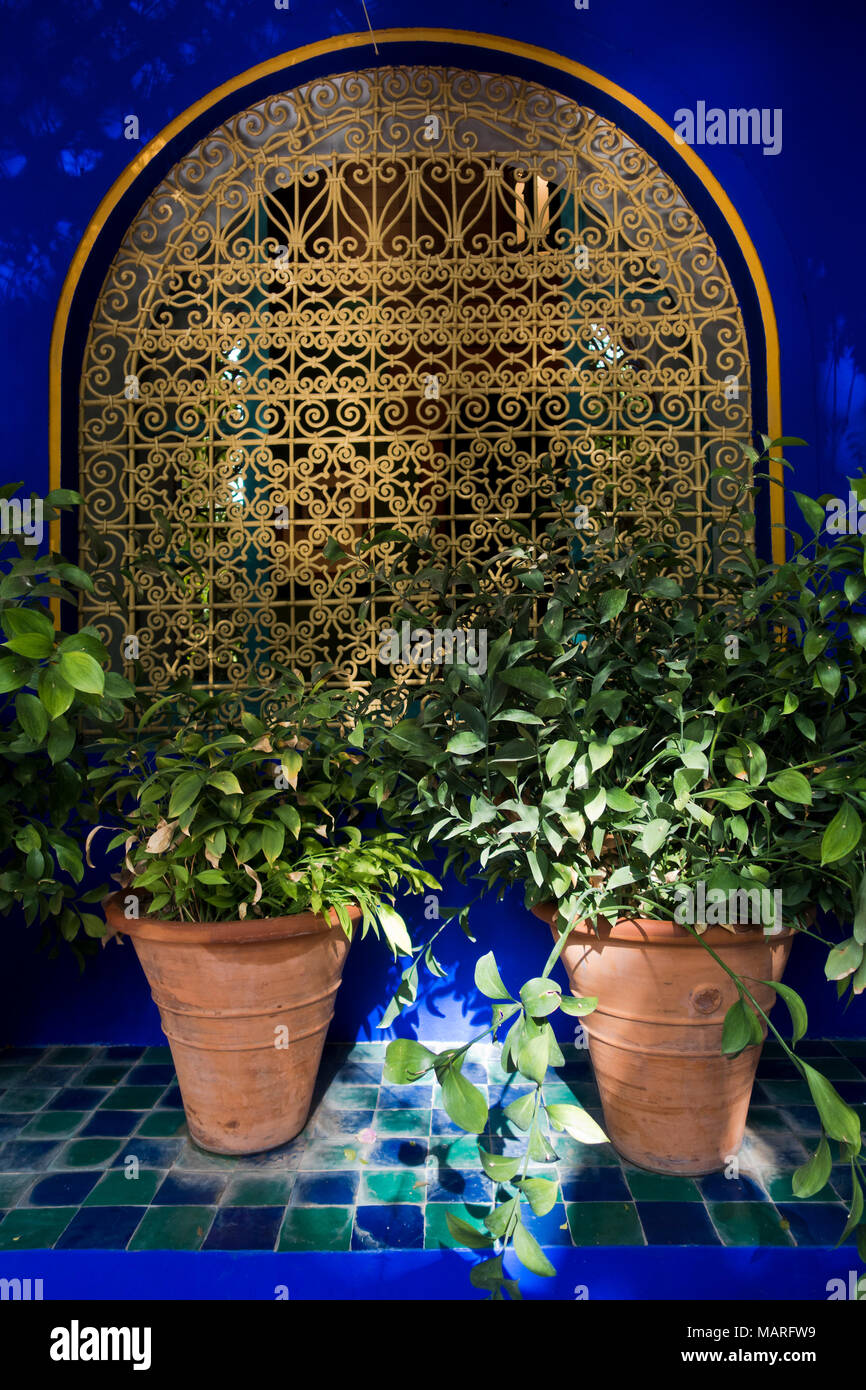 Des détails architecturaux d'une fenêtre avec un oriental clôture et un pot à fleurs au coucher du soleil dans le jardin Majorelle, Marrakech, Maroc Banque D'Images