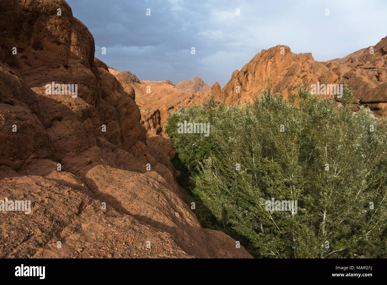 Paysage rocheux en haut de Dadas Gorge au Maroc Banque D'Images