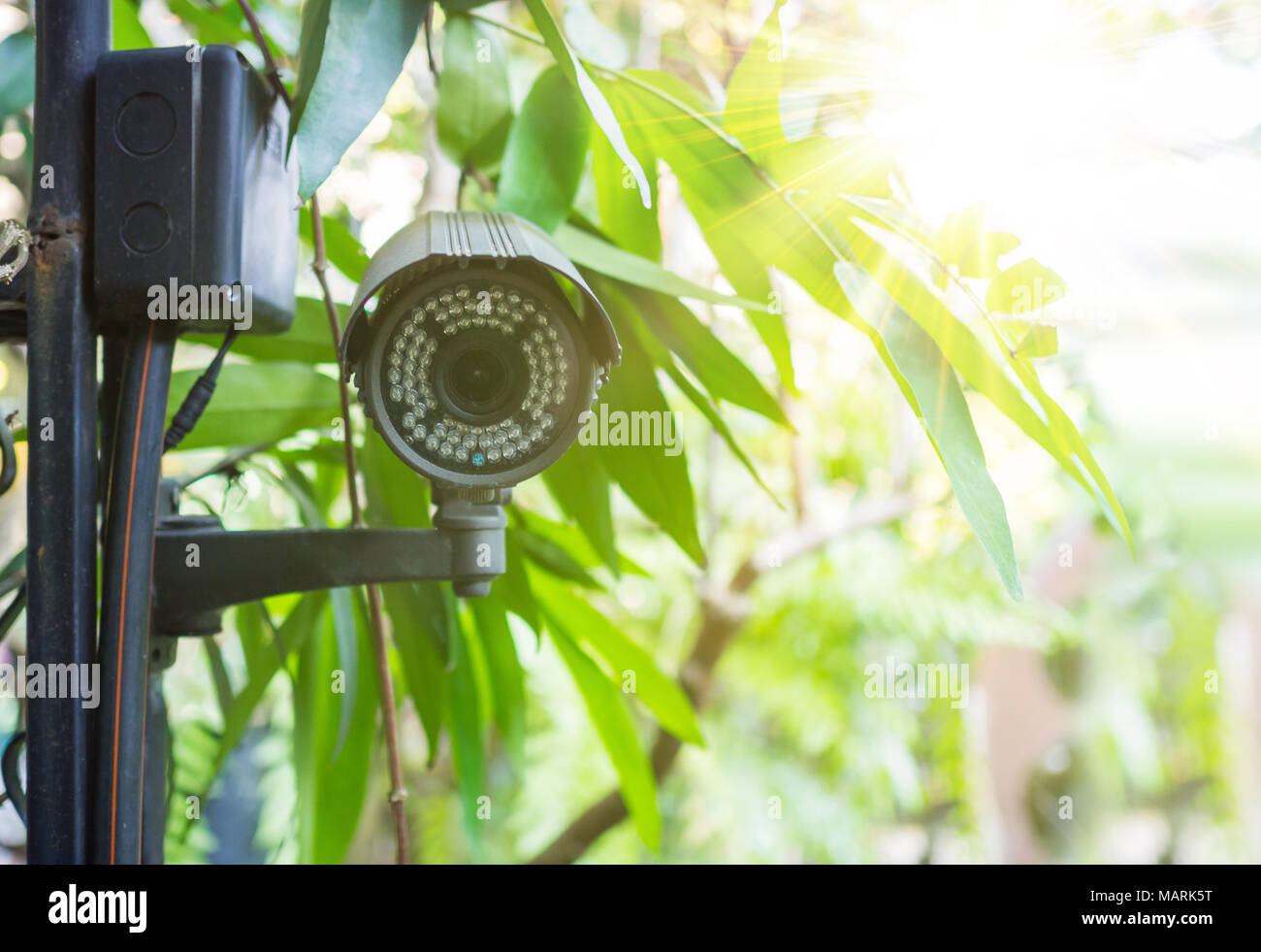 Filtre Vintage par une caméra de sécurité suspendu dans le parc close up Banque D'Images