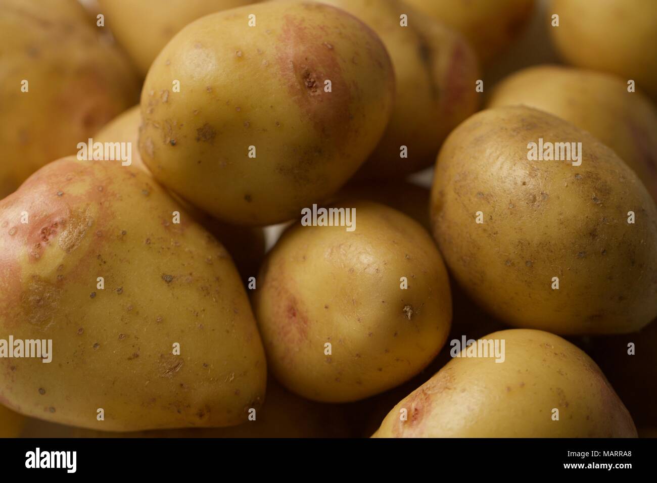 Pommes de terre blanches. Close up shot Banque D'Images