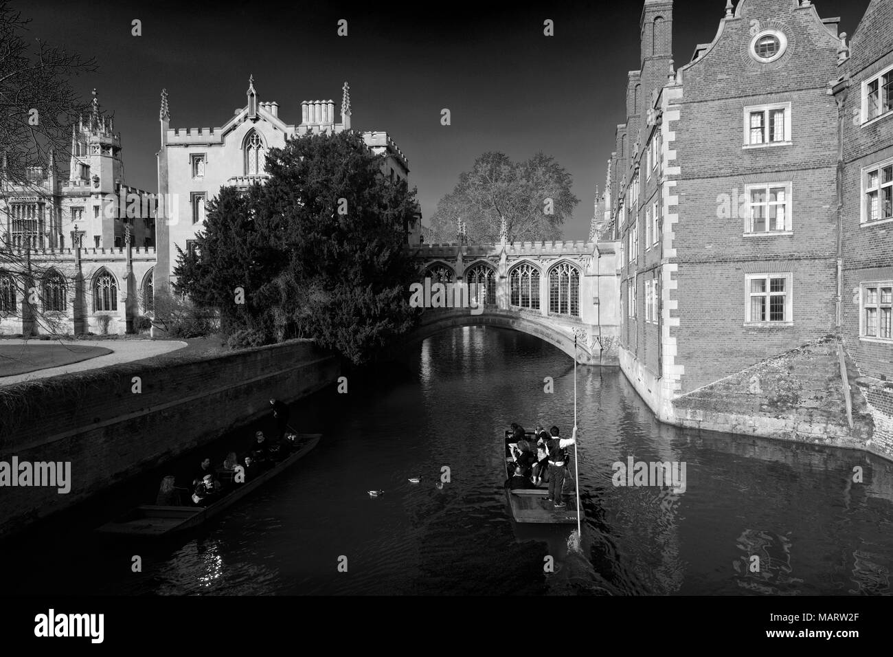 Pont des Soupirs, St John's College, Cambridge, bâtiments Ville Cambridgeshire, Angleterre, RU Banque D'Images
