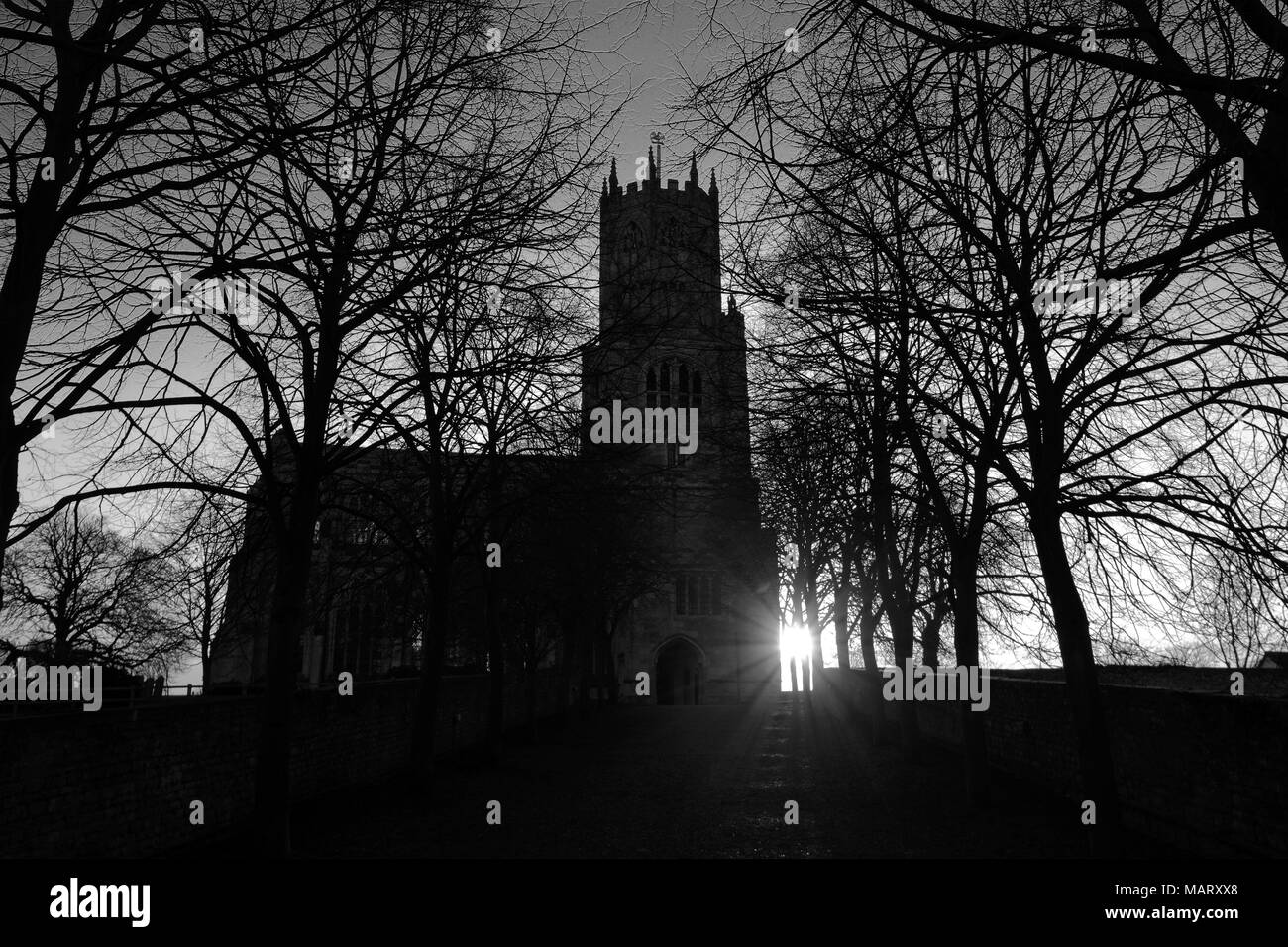 Vue nocturne de St Marys Church, de la rivière Nene, village Fotheringhay, Northamptonshire, England, UK Banque D'Images