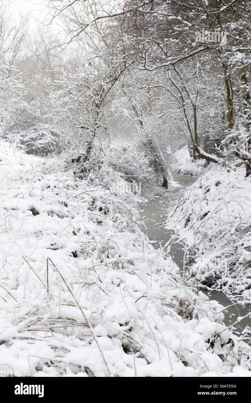 Dans un ruisseau gelé caduques après une importante chute de neige en Attenborough Nature Reserve, Dorset, UK Banque D'Images