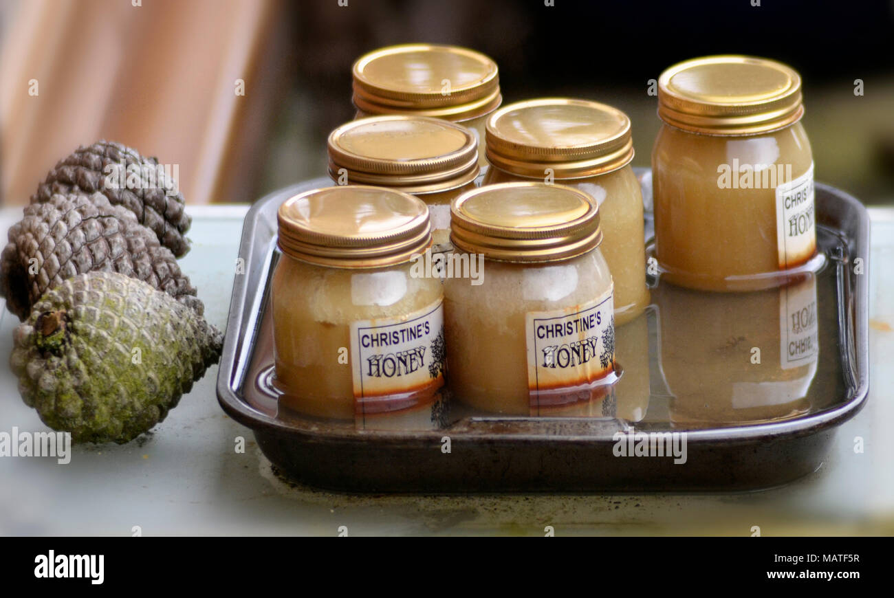 Pots de miel biologique Banque D'Images