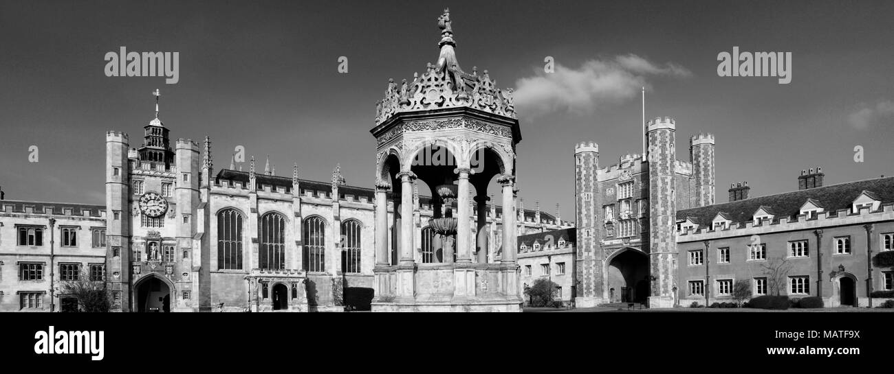 Vue d'été de Trinity College, Cambridge, bâtiments Ville Cambridgeshire, Angleterre, RU Banque D'Images
