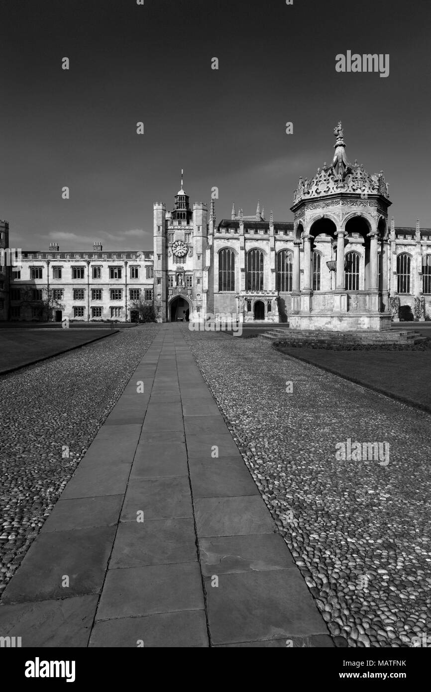 Vue d'été de Trinity College, Cambridge, bâtiments Ville Cambridgeshire, Angleterre, RU Banque D'Images