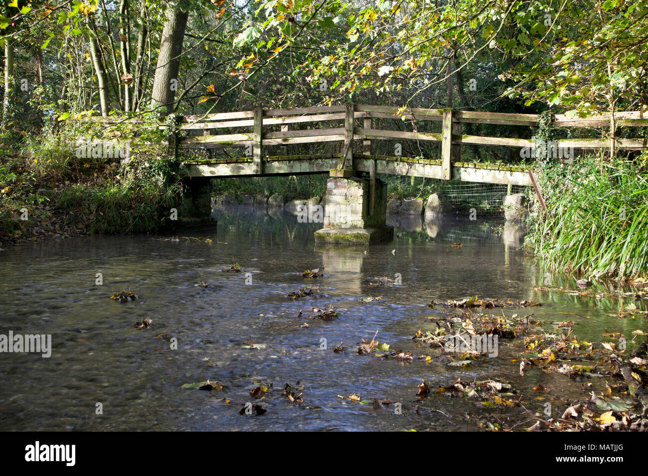 La rivière Wylye Deverill à Kingston, au sud de Salisbury dans le Wiltshire. Banque D'Images