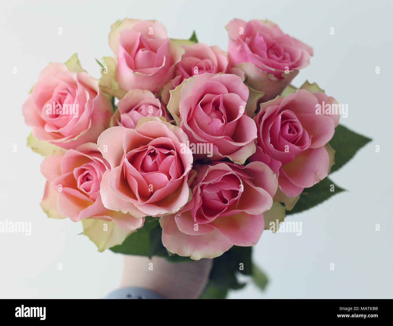 Un Bouquet Fait De Lumière Rose Blush Roses Coloré Tenue